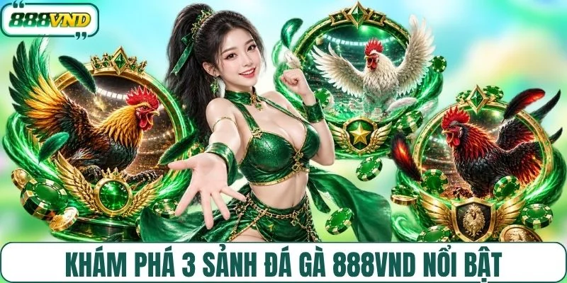 Khám phá 3 sảnh đá gà 888VND nổi bật