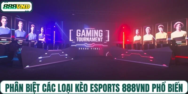 Phân biệt các loại kèo esports 888VND phổ biến